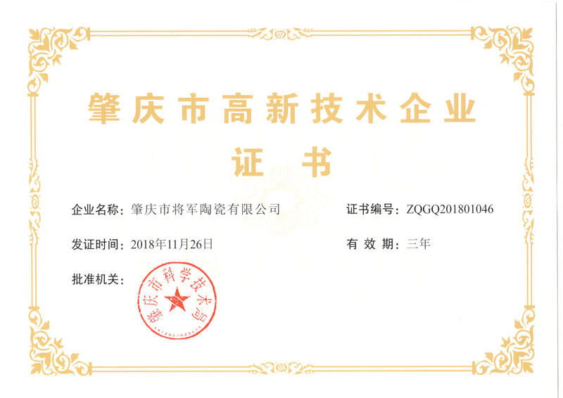 肇庆市高新技术企业证书